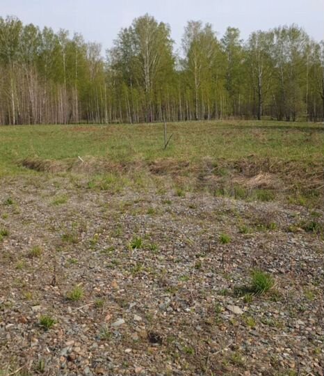 Участок 8 сот. (СНТ, ДНП)