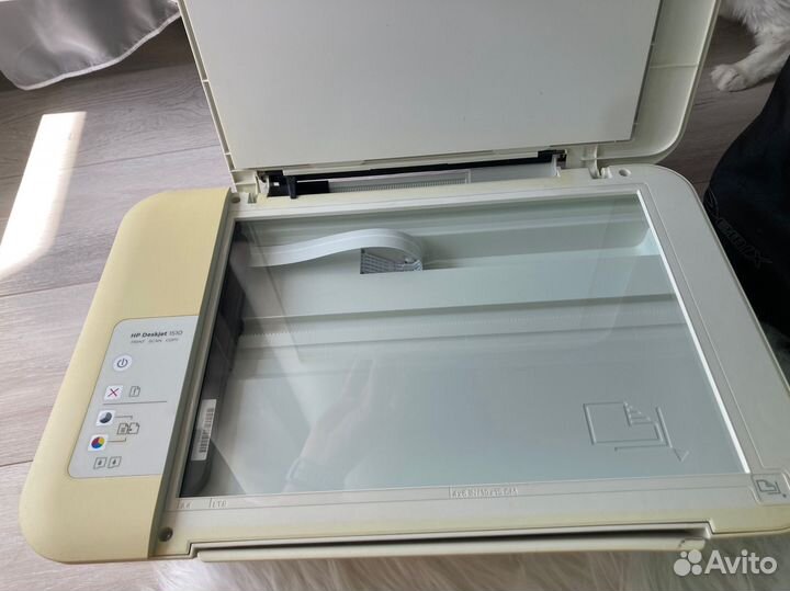 Мфу hp deskjet 1510