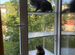 Балкон для кота