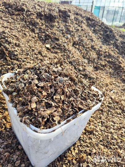 Тунга кедровой шишки (мульча декоративная)