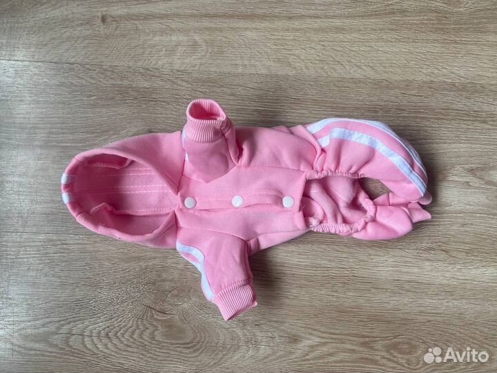 Одежда для животных