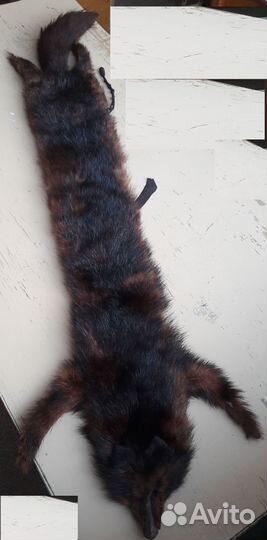 Лисья шкура