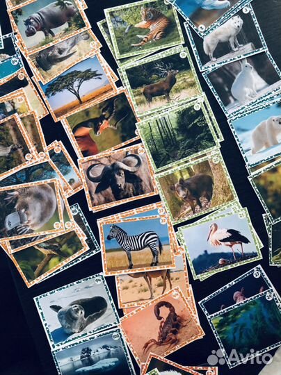 Наклейки Живая природа пуд