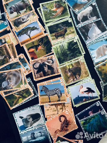 Наклейки Живая природа пуд