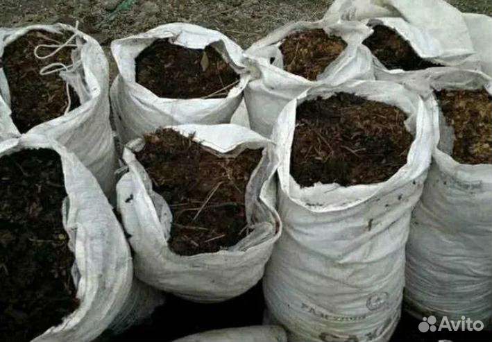 Навоз конский