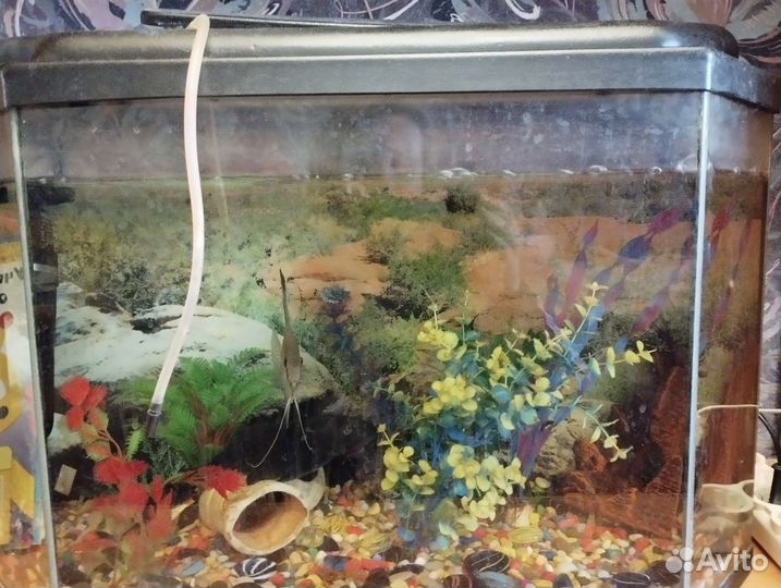 Аквариум с рыбками