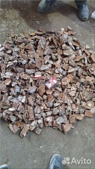 Сосновая кора