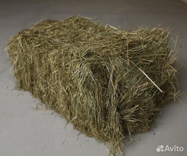 Сено в брикете