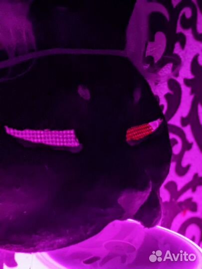 Маска кошки/кота для квадробики