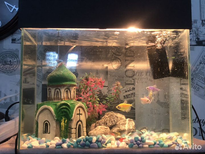 Аквариум