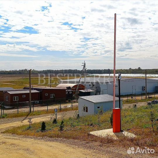 Саженцы клубники зкс сезонные сорта