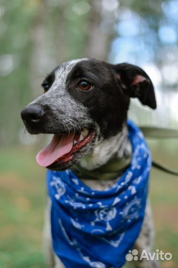 Малыш из приюта ищем дом