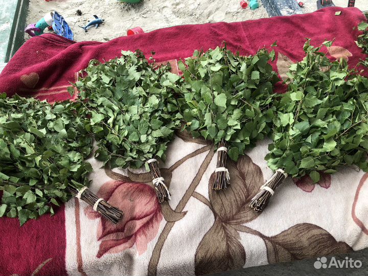 Березовые веники 2023 Банный веник