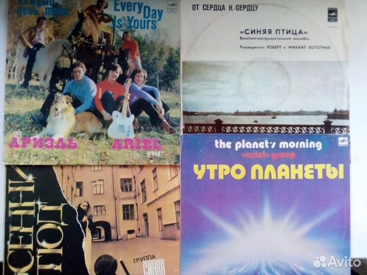 Виниловые пластинки