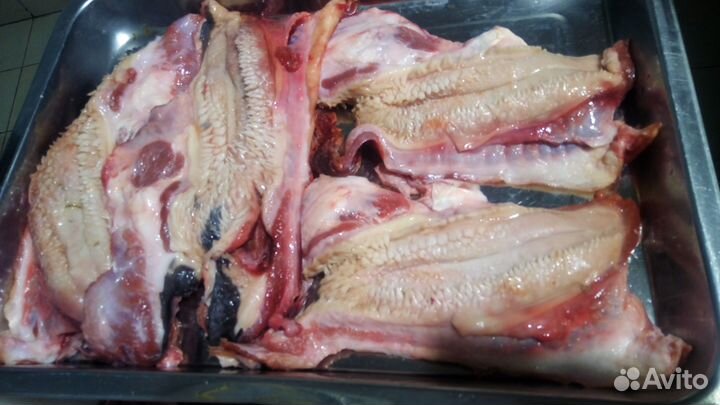 Натуральный корм для животных