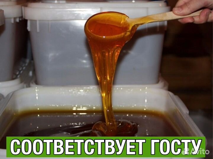 Мёд оптом в ассортименте с Алтая