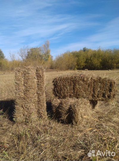 Солома и сено в тюках