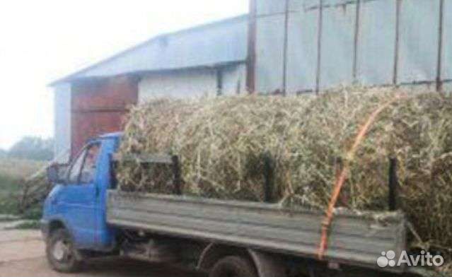 Сено доставка 2023 рулоны кипы