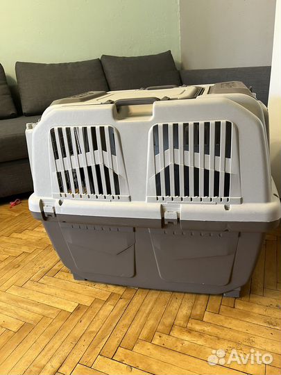 Авиапереноски в самолет для собак
