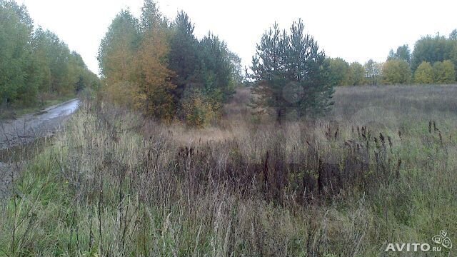 Участок 40 сот. (СНТ, ДНП)