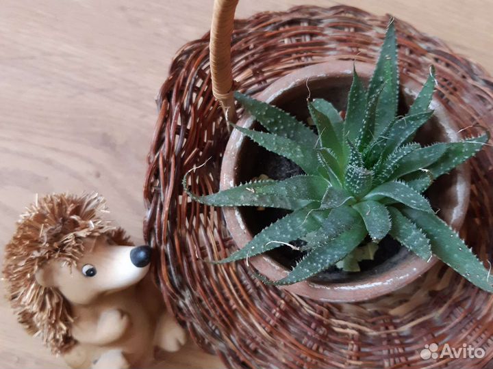 Корзинка интерьерная малая для подарка