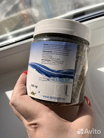 Корм и кормушка для ежа