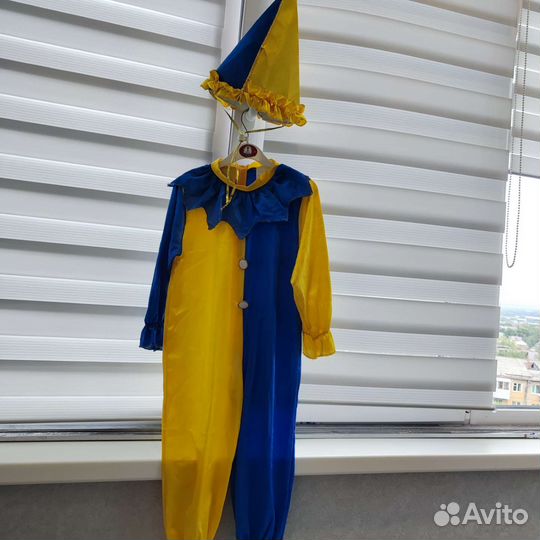 Костюм петрушки