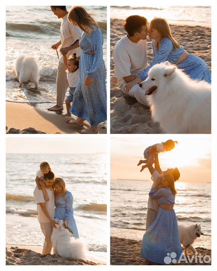 Фотограф Калининград