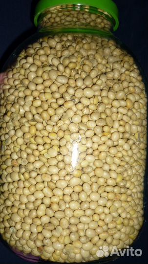 Соя для животных