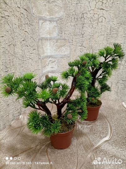 Сувенир ёлочка-банзай