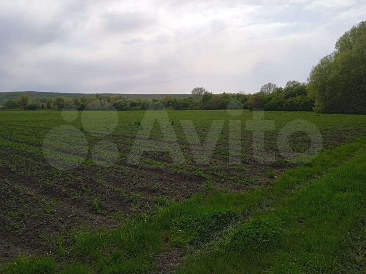 Участок 2,83 га (СНТ, ДНП)