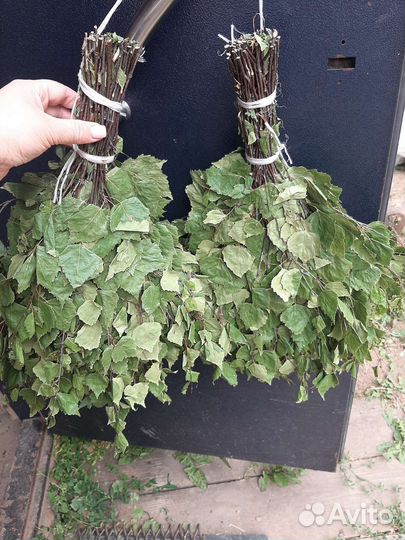 Веники для бани свежие