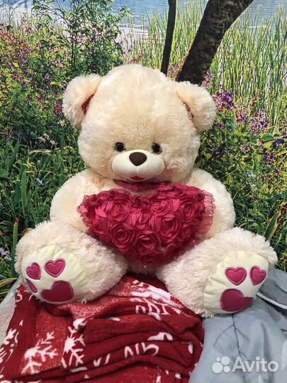Плюшевый медведь
