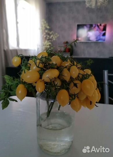 Семена томатов Черри 