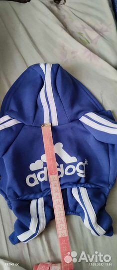 Одежда для собак