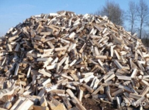 Дрова береза