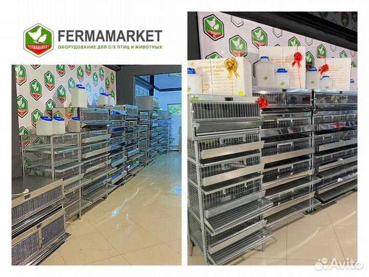 Клетки для перепелов Смоленск