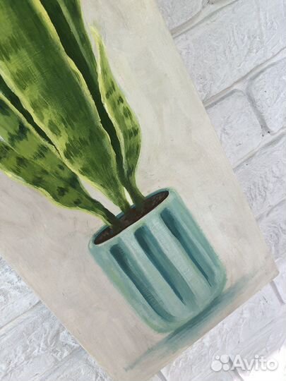 Интерьерная картина Картина «Сансевиерия»