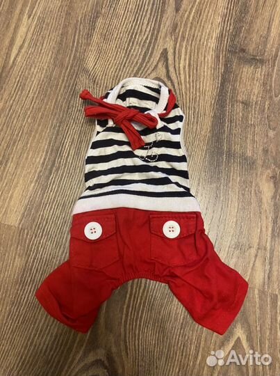 Одежда для собак