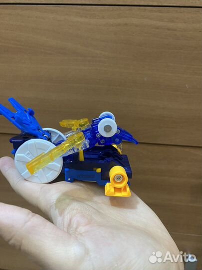 Дикий скричер (screechers wild)