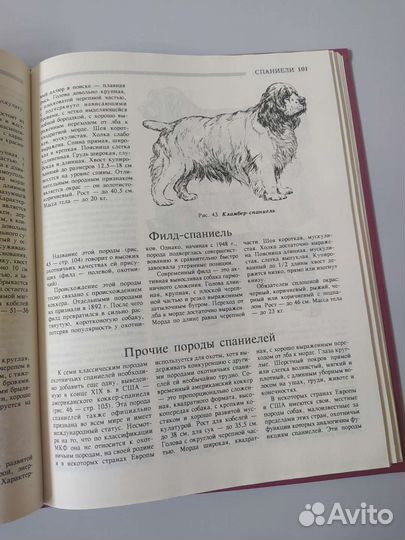 Энциклопедия охотника том 2