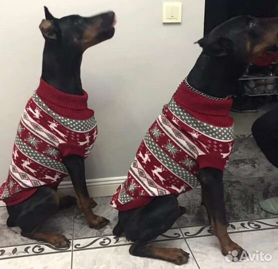 Свитер для собаки