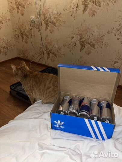 7 банок redbull