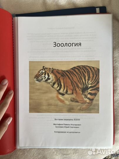 Справочный материал