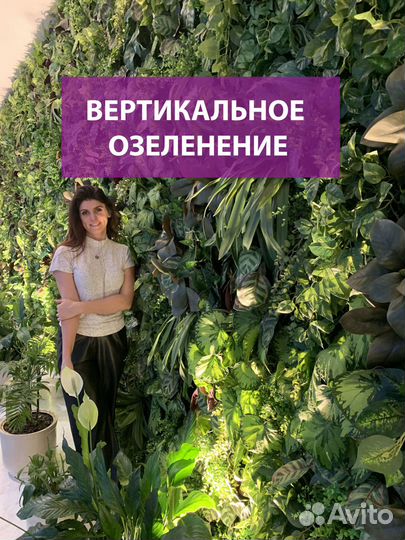 Фитостена из живых растений