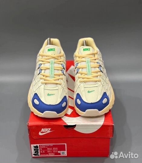 Кроссовки nike AIR P-6000 