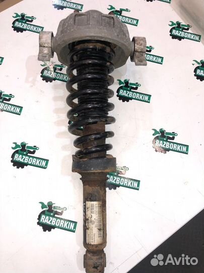 Стойка подвески задняя Volkswagen Touareg Gp GP