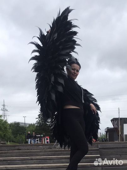 Крылья ангела черные