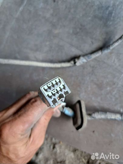 Проводка заднего бампера на Jaguar s-type