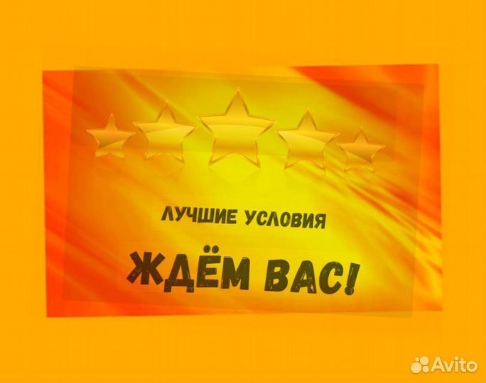 Наборщик заказов Без опыта Еженедельные выплаты